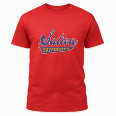 Varsity Script Sativa University