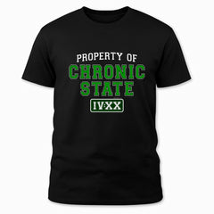 Property of Chronic State IV:XX