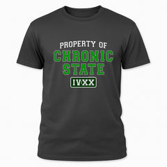 Property of Chronic State IV:XX