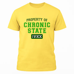 Property of Chronic State IV:XX