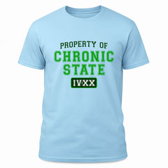Property of Chronic State IV:XX