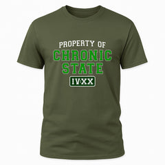 Property of Chronic State IV:XX