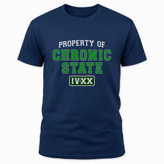Property of Chronic State IV:XX