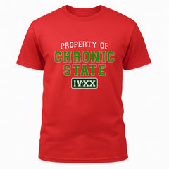 Property of Chronic State IV:XX