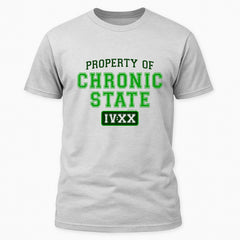 Property of Chronic State IV:XX