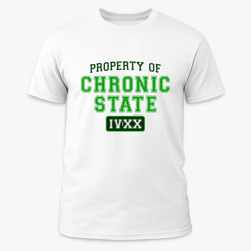 Property of Chronic State IV:XX