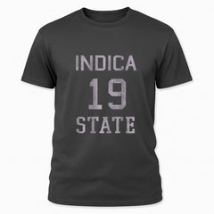 Numbers Indica State