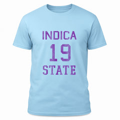 Numbers Indica State