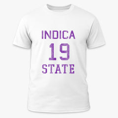 Numbers Indica State
