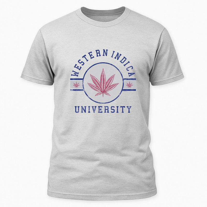 Western Indica University