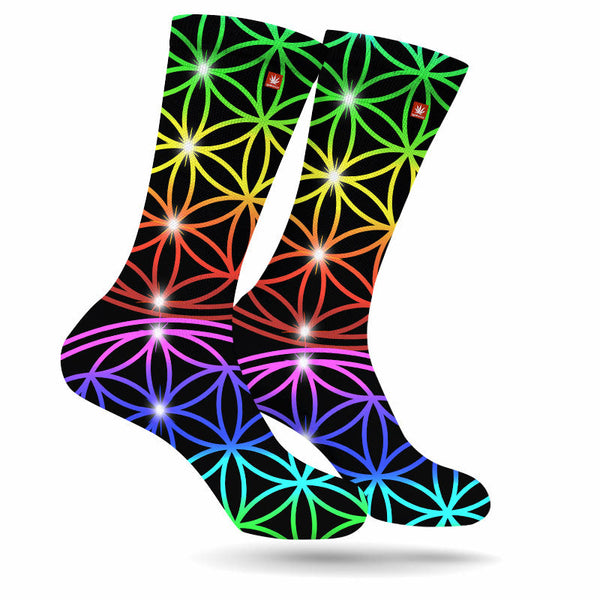 SACRED RAINBOW SOCKS