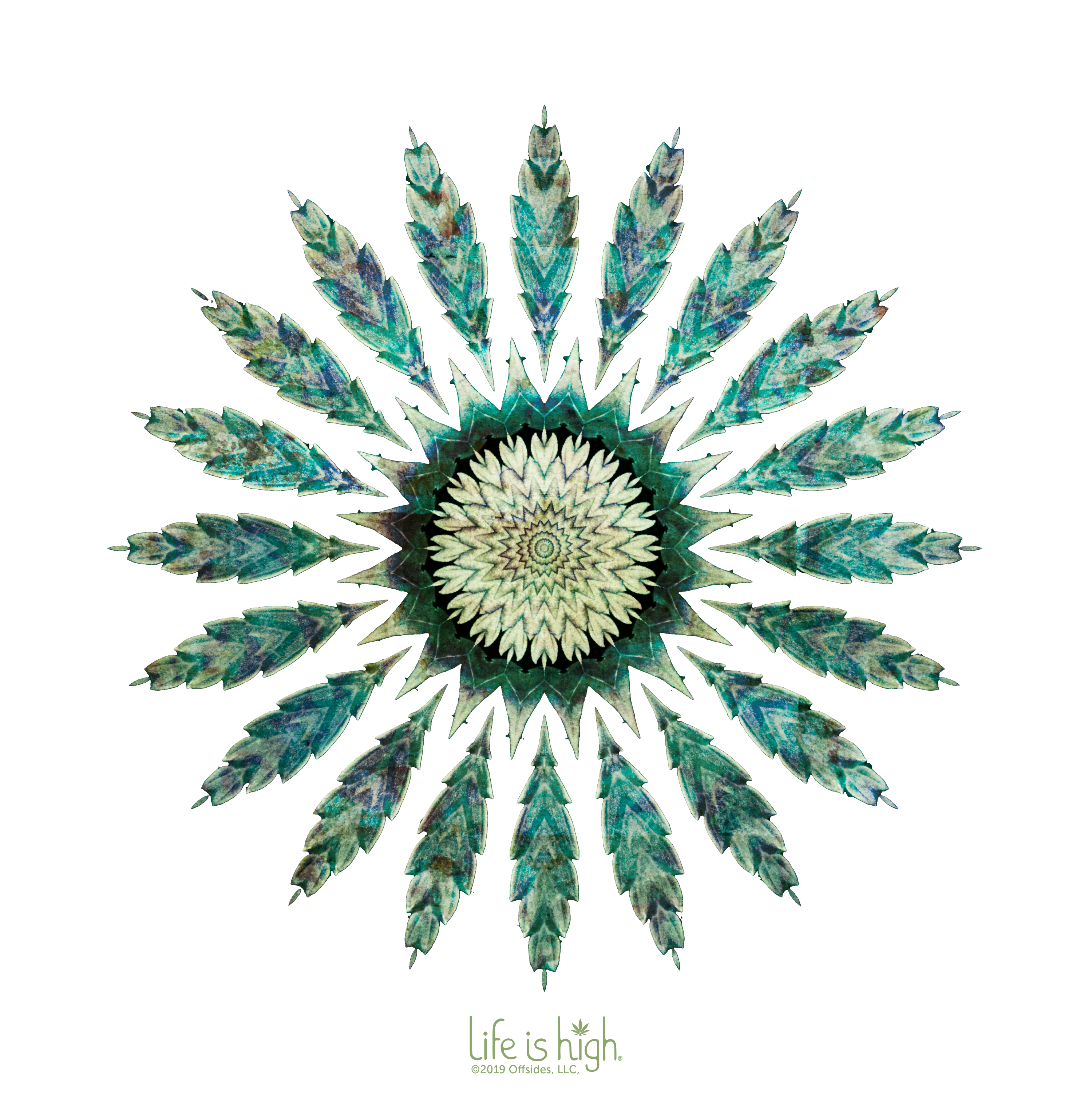 Kaleidoscope Leaf